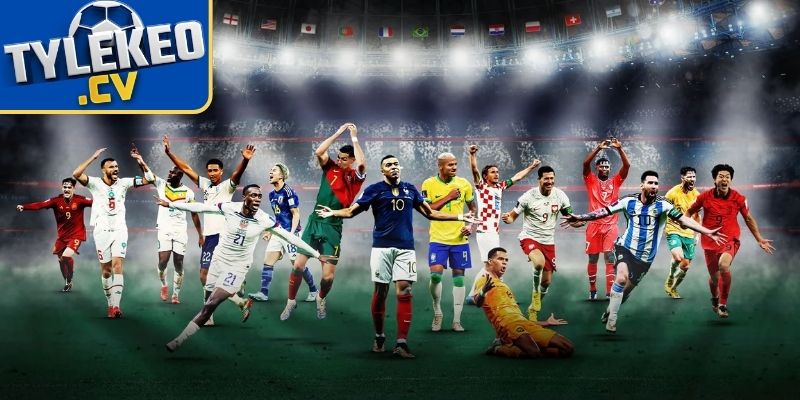 Giới thiệu về chúng tôi qua lịch sử hình thành Tylekeo